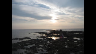 Ile de Re, Saint-Martin-de-Ré