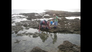 Ile de Re, Saint-Martin-de-Ré