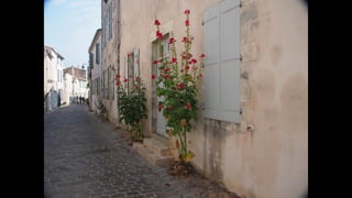 Ile de Re, Saint-Martin-de-Ré