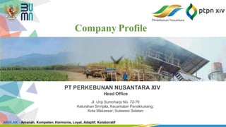 Company Profile PT Perkebunan Nusantara XIV | PPT