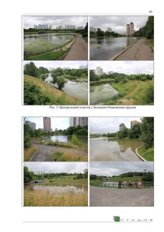 43
Рис. 3. Центральный участок с Большим Очаковским прудом
 