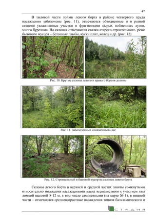 47
В тыловой части поймы левого борта в районе четвертого пруда
насаждения заболочены (рис. 11), отмечаются обводненные и в разной
степени увлажненные участки и фрагментами сырых пойменных лугов,
много бурелома. На склонах отмечаются свалки старого строительного, реже
бытового мусора – бетонные глыбы, куски плит, колец и др. (рис. 12).
Рис. 10. Крутые склоны левого и правого бортов долины
Рис. 11. Заболоченный «пойменный» лес
Рис. 12. Строительный и бытовой мусор на склонах левого борта
Склоны левого борта в верхней и средней частях заняты сомкнутыми
относительно молодыми насаждениями клена ясенелистного с участием ивы
ломкой высотой 8-12 м, в том числе самосевными (на карте № 1), в нижней
части – отмечаются средневозрастные насаждения тополя бальзамического и
 