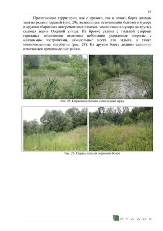 56
Прилегающие территории, как с правого, так и левого борта долины
заняты рядами гаражей (рис. 29), являющиеся источниками бытового мусора
и крупногабаритных авторемонтных отходов, много свалок мусора на крутых
склонах вдоль Озерной улицы. На бровке склона с тыльной стороны
гаражных комплексов отмечены небольшие ухоженные огороды с
«дачными» постройками, самодельные места для отдыха, а также
многочисленные голубятни (рис. 28). На другом борту долины единично
отмечаются временные постройки.
Рис. 25. Окраинное болото и последний пруд
Рис. 26. Сырые луга по окраинам болот
 