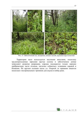 57
Рис. 27. Заболоченный лес, валериана, камыш лесной, грушанка круглолистная
Территория мало используется местными жителями, поскольку
труднопроходимые заросшие крутые склоны и заболоченное днище
затрудняет развитие рекреации, изредка посещаются только верхние
прибровочные части склонов, частично «обжитые» хозяевами гаражей и
бомжами. По крутым склонам вдоль ул. Озерной за гаражами имеются
несколько «экстремальных» тропинок для спуска в пойму реки.
 