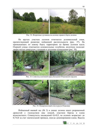 60
Рис. 32. Вторичные луговины на склонах правого борта долины
На крутых участках склонов отмечается делювиальный смыв,
препятствующий развитию пойменной растительности (рис. 37). На
примыкающих по левому борту территориях по бровке склонов вдоль
Озерной улицы отмечаются основательные голубятни, вплотную подходят
дворы жилых кварталов с газонами и детскими площадками (рис. 38).
Рис. 33. Слив под плотиной перед Большим Очаковским прудом
Рис. 34. Поверхностный сток в русло Очаковки
Пойменный ивовый лес (№ 3) в днище долины имеет разреженный
древостой с господством ивы ломкой, участием березы и клена
ясенелистного. Сомкнутость насаждений 0,4-0,5, на склонах возрастает до
0,7-0,8 за счет значительной примеси, иногда доминирования клена. Высота
 