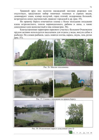 71
Травяной ярус под пологом насаждений местами разрежен или
отсутствует, представлен набор типичных газонных и сорных видов,
доминируют злаки, клевер ползучий, горец птичий, подорожник большой,
встречаются лопух паутинистый, гравилат городской и др. (рис. 55).
По правому берега отмечаются газоны с более молодыми посадками
клена остролистного, тополя пирамидального, рябины и липы, а также
самосевные клен ясенелистный и ива ломкая (рис. 56).
Благоустроенная территория паркового участка с Большим Очаковским
прудом активно используется населением для отдыха у воды, выгула собак и
рыбалки. По словам рыбаков, здесь ловятся плотва, карась, окунь, лещ, ротан
(рис. 57).
Рис. 56. Массив тополевника
Рис. 57. Газоны с посадками на правом берегу
Рис. 58. Отдыхающие парка в дождливый день 
 
