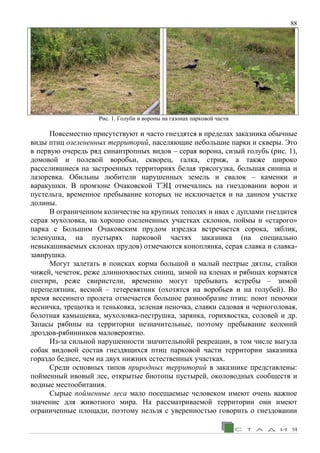 88
Рис. 1. Голуби и вороны на газонах парковой части
Повсеместно присутствуют и часто гнездятся в пределах заказника обычные
виды птиц озелененных территорий, населяющие небольшие парки и скверы. Это
в первую очередь ряд синантропных видов – серая ворона, сизый голубь (рис. 1),
домовой и полевой воробьи, скворец, галка, стриж, а также широко
расселившиеся на застроенных территориях белая трясогузка, большая синица и
лазоревка. Обильны любители нарушенных земель и свалок – каменки и
варакушки. В промзоне Очаковской ТЭЦ отмечались на гнездовании ворон и
пустельга, временное пребывание которых не исключается и на данном участке
долины.
В ограниченном количестве на крупных тополях и ивах с дуплами гнездится
серая мухоловка, на хорошо озелененных участках склонов, поймы и «старого»
парка с Большим Очаковским прудом изредка встречается сорока, зяблик,
зеленушка, на пустырях парковой частях заказника (на специально
невыкашиваемых склонах прудов) отмечаются коноплянка, серая славка и славка-
завирушка.
Могут залетать в поисках корма большой и малый пестрые дятлы, стайки
чижей, чечеток, реже длиннохвостых синиц, зимой на кленах и рябинах кормятся
снегири, реже свиристели, временно могут пребывать ястребы – зимой
перепелятник, весной – тетеревятник (охотятся на воробьев и на голубей). Во
время весеннего пролета отмечается большое разнообразие птиц: поют пеночки
весничка, трещотка и теньковка, зеленая пеночка, славки садовая и черноголовая,
болотная камышевка, мухоловка-пеструшка, зарянка, горихвостка, соловей и др.
Запасы рябины на территории незначительные, поэтому пребывание колоний
дроздов-рябинников маловероятно.
Из-за сильной нарушенности значительнойй рекреации, в том числе выгула
собак видовой состав гнездящихся птиц парковой части территории заказника
гораздо беднее, чем на двух нижних естественных участках.
Среди основных типов природных территорий в заказнике представлены:
пойменный ивовый лес, открытые биотопы пустырей, околоводных сообществ и
водные местообитания.
Сырые пойменные леса мало посещаемые человеком имеют очень важное
значение для животного мира. На рассматриваемой территории они имеют
ограниченные площади, поэтому нельзя с уверенностью говорить о гнездовании
 