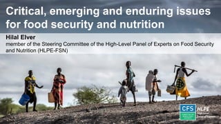 Critical, emerging and enduring issues
for food security and nutrition
Hilal Elver
member of the Steering Committee of the High-Level Panel of Experts on Food Security
and Nutrition (HLPE-FSN)
 