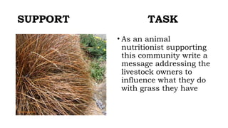 SUPPORT TASK
• As an animal
nutritionist supporting
this community write a
message addressing the
livestock owners to
influence what they do
with grass they have
 