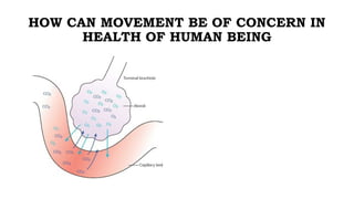 HOW CAN MOVEMENT BE OF CONCERN IN
HEALTH OF HUMAN BEING
 