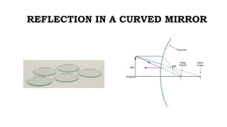 REFLECTION IN A CURVED MIRROR
 