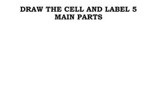 DRAW THE CELL AND LABEL 5
MAIN PARTS
 