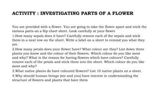 ACTIVITY : INVESTIGATING PARTS OF A FLOWER
You are provided with a flower. You are going to take the flower apart and stick the
various parts on a flip chart sheet. Look carefully at your flower
1.How many sepals does it have? Carefully remove each of the sepals and stick
them in a neat row on the sheet. Write a label on a sheet to remind you what they
are.
2.How many petals does your flower have? What colour are they? List down three
plants you know and the colour of their flowers. Which colour do you like most
and why? What is the reason for having flowers which have colours? Carefully
remove each of the petals and stick them into the sheet. Which colour do you like
most and why?
3.What native plants do have coloured flowers? List 10 native plants on a sheet.
4.Why should human beings (me and you) have interest in understanding the
structure of flowers and plants that have them
 