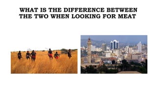 WHAT IS THE DIFFERENCE BETWEEN
THE TWO WHEN LOOKING FOR MEAT
 