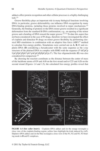 14 Metallic Systems: A Quantum Chemists’s Perspective
© 2011 by Taylor  Francis Group, LLC
adducts affect protein recognition and other cellular processes is a highly challenging
task.126
Groove flexibility plays an important role in many biological functions involving
DNA; in particular, groove deformability can influence DNA recognition by many
DNA-binding proteins, including those proteins involved in repair mechanisms.152
Generally, the binding of proteins to the DNA minor groove resulted in a significant
deformation from the standard B-DNA conformation, e.g., an opening of the minor
groove and a bending of DNA toward the major groove.153,154 To date this aspect has
not been considered in the case of Pt drugs, therefore we have investigated the effect
of cisplatin and dinuclear Pt drugs on minor groove flexibility by performing clas-
sical MD simulations in combination with an adaptive bias force (ABF)155 method
to calculate free-energy profiles. Simulations were carried out on A, B, C and cis-
platin–DNA (D) considering a hexadecamer with the same sequence as the x-ray
structure of the platined DNA in complex with HMG with the sequence (5′-d(CpCp
UpCpTpCpTpG*pG*pACpCpTpTpCpCp)-3′). The free oligonucleotide (E) was also
considered for comparison.126
By choosing the reaction coordinate as the distance between the center of mass
of the backbone atoms of G9 and A10 on the first strand and to C25 and A26 on the
second strand (Figures 1.4 and 1.5), the calculated free-energy profiles reveal that
G6
G5
G6
G5
G6
G7
Pt
Pt
Pt
Pt
Pt
FIGURE 1.4 (See color insert.) Cisplatin–DNA adduct and (in the orange rectangle) a
close view of the cisplatin binding region; yellow lines highlight the kink induced by cisPt.
Diplatin–DNA adduct and (in the blue rectangle) a close view of the N1, N2 and N1, N3 bind-
ing mode in B and C complexes.
 
