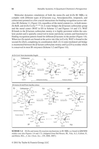 18 Metallic Systems: A Quantum Chemists’s Perspective
© 2011 by Taylor  Francis Group, LLC
Molecular dynamics simulations of both the mono-Zn and di-Zn B1 MβLs in
complex with different types of β-lactams (e.g., benzylpenicillin, imipenem, and
cefotaxime) pointed to a few crucial interactions for binding recognition across sub-
class B1 (Scheme 1.1, Figure 1.6), regardless of the metal content (i.e., in both mono-
Zn BcII, and di-Zn CcrA).192–195 (1) A water bridges the β-lactam carboxylate group
and the metal center (WAT in ES in Scheme 1.2 and Figures 1.6 and 1.7). WAT
H-bonds to the β-lactam carboxylate moiety it is highly persistent within the cata-
lytic pocket and is spatially conserved in mono and dizinc systems and functional to
binding recognition pattern found for different β-lactams in the pocket (Figure 1.6).
When two Zn metals are bound at the active site (like in CcrA), WAT is bound to the
second Zn (Zn2), completing its coordination shell. (2) A water-mediated salt bridge
is maintained between the β-lactam carboxylate moiety and Lys224 (a residue which
is conserved in most B1 enzymes) (Scheme 1.2 and Figure 1.6).
WAT
WAT
WAT' WAT'
WAT
WAT
WAT'
WAT WAT'
WAT–
WAT'
(wat)
(wat)
(wat)
(wat)
(wat)
(wat)
(wat)
(wat)
(wat)
OH–
Zn2 Zn1
Zn2 Zn2 Zn1
Zn1
Zn1 Zn1
Zn1
Zn1
Zn1
OH+
His263
His263 Cys221
Cys221 Cys221
Cys221
Cys221
Cys221 Cys221
Cys221
Asp120
Asp120
Asp120 Asp120
Asp120
Asp120
Arg121
Asp120
Asp120
Cefotaxime binding Products release
His116
His116
His116 His116
OH–
OH–
His116
His116 His116
His116
His118
His118
His118 His118
His118
His118 His118
His118
His196
His196 His196
His196
His196 His196
His196
His263 His263
Asn233
His196
Asn233
Asn233
Asn233
Asn233
Asn233
Asn233
Asn233
18(2) kcal mol–1
19(2) kcal mol–1
12(2) kcal mol–1
21(2) kcal mol–1
Lys224
Lys224
Lys224
Lys224
Lys224
Lys224
Cefotaxime
Cefotaxime
Cefotaxime binding
Products release
di-Zn CcrA from bacteroides fragilis
3H mono-Zn bcll from bacillus cereus
ES
ES
EP
EP
TS2
TS
TS1 INT
O
O S S
S
S
S
S
S
S
S
S
N
N
3
3
4
4
5
5
8
8
N
N
N
N
N
N
N
N
N
NH
N
N
H
H
H
H
H
H
H
H
H
H
H
H
H
H
H
H
H
H
H
H
H
H
H
H
H
H
NH
NH
HO
HO
HO
NH2
NH
2
O
O
O
–
O
–
O
O–
O
–
O
–
O
–
O
O
–
O
–
O
–
COO
–
COO
–
O
O
O
O O O
O
O
O
O
O
O
O OH
O
O
O
O
O
O
O
O
O
O
O
O
O
O
O
O
O
O
O
O
O
O
O
O
O
O
O
O
O
O
O
SCHEME 1.2 Di-Zn and mono-Zn reaction mechanisms in B1 MβLs as found in QM/MM
studies (see also Figures 1.6 and 1.7). (Adapted from Dal Peraro, M., Vila, A.J., Carloni, P.,
and Klein, M.L., J. Am. Chem. Soc., 129, 2808, 2007.)
 