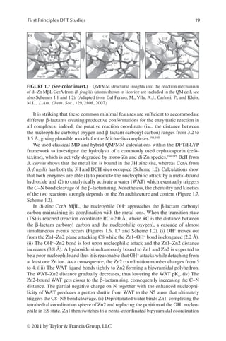 19
First Principles DFT Studies
© 2011 by Taylor  Francis Group, LLC
It is striking that these common minimal features are sufficient to accommodate
different β-lactams creating productive conformations for the enzymatic reaction in
all complexes; indeed, the putative reaction coordinate (i.e., the distance between
the nucleophilic carbonyl oxygen and β-lactam carbonyl carbon) ranges from 3.2 to
3.5 Å, giving plausible models for the Michaelis complexes.194,195
We used classical MD and hybrid QM/MM calculations within the DFT/BLYP
framework to investigate the hydrolysis of a commonly used cephalosporin (cefo-
taxime), which is actively degraded by mono-Zn and di-Zn species.194,195 BcII from
B. cereus shows that the metal ion is bound in the 3H zinc site, whereas CcrA from
B. fragilis has both the 3H and DCH sites occupied (Scheme 1.2). Calculations show
that both enzymes are able (1) to promote the nucleophilic attack by a metal-bound
hydroxide and (2) to catalytically activate a water (WAT) which eventually triggers
the C–N bond cleavage of the β-lactam ring. Nonetheless, the chemistry and kinetics
of the two reactions strongly depends on the Zn architecture and content (Figure 1.7,
Scheme 1.2).
In di-zinc CcrA MβL, the nucleophile OH− approaches the β-lactam carbonyl
carbon maintaining its coordination with the metal ions. When the transition state
(TS) is reached (reaction coordinate RC=2.0 Å, where RC is the distance between
the β-lactam carbonyl carbon and the nucleophilic oxygen), a cascade of almost
simultaneous events occurs (Figures 1.6, 1.7 and Scheme 1.2). (i) OH− moves out
from the Zn1–Zn2 plane attacking C8 while the Zn1–OH− bond is elongated (2.2 Å).
(ii) The OH−–Zn2 bond is lost upon nucleophilic attack and the Zn1–Zn2 distance
increases (3.8 Å). A hydroxide simultaneously bound to Zn1 and Zn2 is expected to
be a poor nucleophile and thus it is reasonable that OH− attacks while detaching from
at least one Zn ion. As a consequence, the Zn2 coordination number changes from 5
to 4. (iii) The WAT ligand bonds tightly to Zn2 forming a bipyramidal polyhedron.
The WAT–Zn2 distance gradually decreases, thus lowering the WAT pKa. (iv) The
Zn2-bound WAT gets closer to the β-lactam ring, consequently increasing the C–N
distance. The partial negative charge on N together with the enhanced nucleophi-
licity of WAT produces a proton shuttle from WAT to the N5 atom that ultimately
triggers the C8–N5 bond cleavage. (v) Deprotonated water binds Zn1, completing the
tetrahedral coordination sphere of Zn2 and replacing the position of the OH− nucleo-
phile in ES state. Zn1 then switches to a penta-coordinated bipyramidal coordination
ES TS EP
CEF
CEF'
CEF'
WAT'
Zn1
Zn2 OH'
WAT
His263
N5
C8 N5 C8
RC
OH–
OH–
OH–'
Zn2
Zn1
Asn233
His196
Zn1
Zn2
Cys221
Asp120 His116
His118
FIGURE 1.7 (See color insert.) QM/MM structural insights into the reaction mechanism
of di-Zn MβL CcrA from B. fragilis (atoms shown in licorice are included in the QM cell, see
also Schemes 1.1 and 1.2). (Adapted from Dal Peraro, M., Vila, A.J., Carloni, P., and Klein,
M.L., J. Am. Chem. Soc., 129, 2808, 2007.)
 