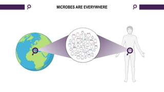 MICROBES ARE EVERYWHERE
 