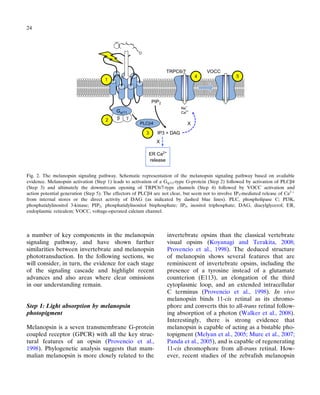 The Neurobiology Of Circadian Timing Andries Kalsbeek Martha Merrow | PDF