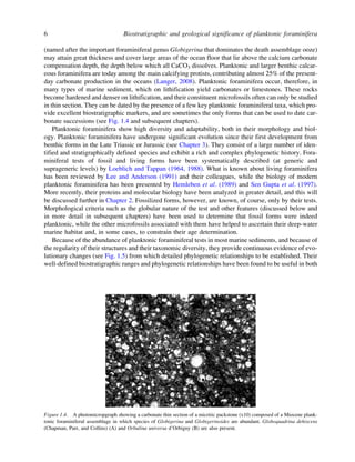 Biostratigraphic And Geological Significance Of Planktonic Foraminifera ...