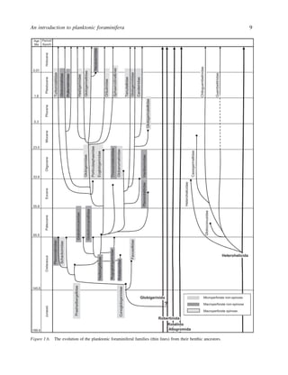 Biostratigraphic And Geological Significance Of Planktonic Foraminifera ...