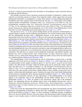 Biostratigraphic And Geological Significance Of Planktonic Foraminifera ...