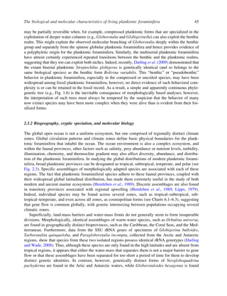 Biostratigraphic And Geological Significance Of Planktonic Foraminifera ...