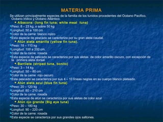 MATERIA PRIMA
Se utilizan principalmente especies de la familia de los tunidos procedentes del Océano Pacifico,
Océano Indico y Océano Atlántico.
 Albacora: (long fin tuna; white meat tuna)
Peso: 8 – 23 kg, o sobre 50 kg
Longitud: 50 a 100 cm
Color de la carne: blanco rojizo
Esta especie de pescado se caracteriza por su gran aleta caudal.
 Atún aleta amarilla (yellow fin tuna).
Peso: 18 – 110 kg
Longitud: 100 a 200 cm.
Color de la carne: rosada
Esta especie de pescado se caracteriza por sus aletas de color amarillo oscuro, con excepción de
la primera aleta dorsal.
 Barrilete (striped tuna, bonito)
Peso: 3 – 14 kg
Longitud: 50 – 80 cm
Color de la carne: rojo oscuro
Este pescado se caracteriza por sus 4 – 10 líneas negras en su cuerpo blanco plateado.
 Atún aleta azul (blue fin tuna)
Peso: 20 – 120 kg
Longitud: 80 – 210 cm
Color de la carne: rosada
Esta especie de atún se caracteriza por sus aletas de color azul
 Atún ojo grande (Big eye tuna)
Peso: 30 – 180 kg
Longitud: 90 – 220 cm
Color de la carne: rosada
Esta especie se caracteriza por sus grandes ojos saltones.
 