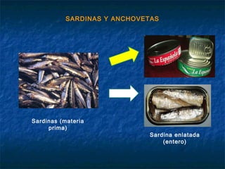 SARDINAS Y ANCHOVETAS
Sardinas (materia
prima)
Sardina enlatada
(entero)
 