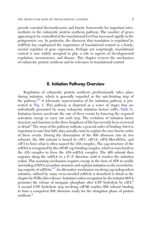 Translational Control In Health And Disease John W B Hershey Eds | PDF