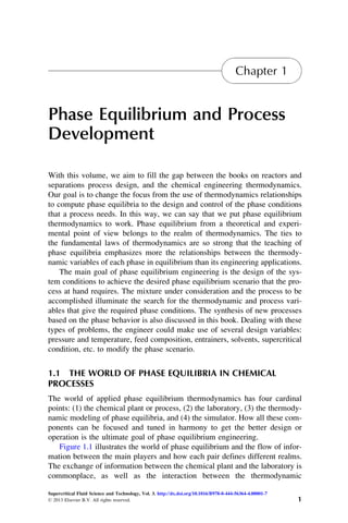 Phase Equilibrium Engineering Esteban Brignole And Selva Pereda Eds | PDF