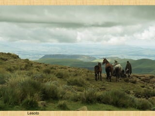 Lesoto 