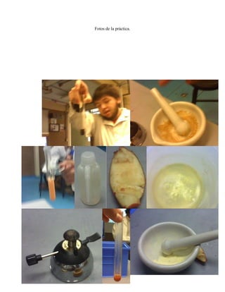 Fotos de la práctica.
 