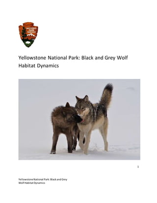 1
YellowstoneNational Park:BlackandGrey
Wolf HabitatDynamics
Yellowstone National Park: Black and Grey Wolf
Habitat Dynamics
 
