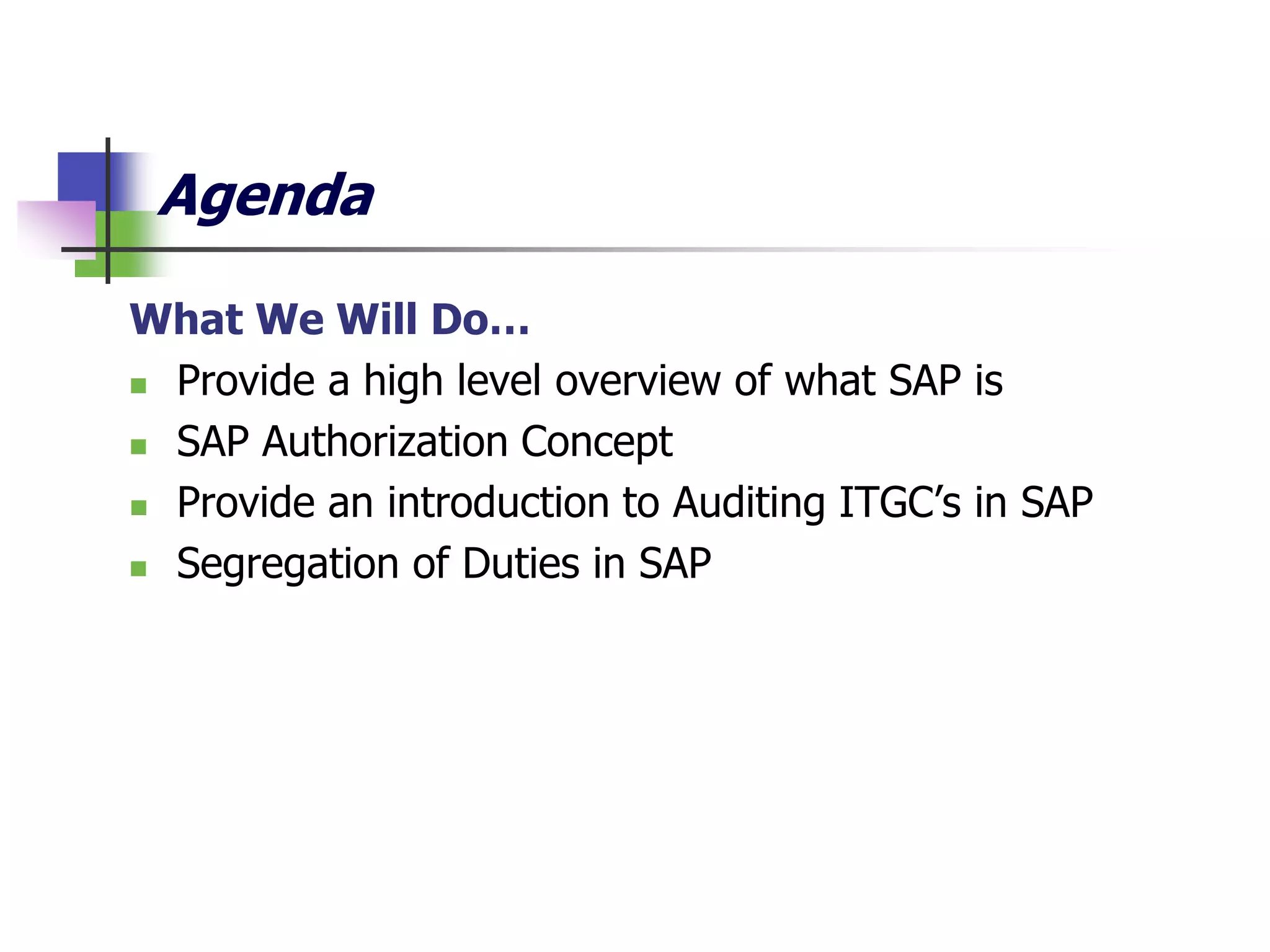 Agenda
What We Will Do…
 Provide a high level overview of what SAP is
 SAP Authorization Concept
 Provide an introduction to Auditing ITGC’s in SAP
 Segregation of Duties in SAP
 