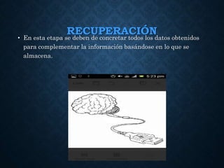 RECUPERACIÓN
• En esta etapa se deben de concretar todos los datos obtenidos
para complementar la información basándose en lo que se
almacena.
 