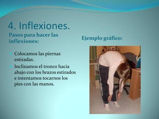 4. Inflexiones.
Pasos para hacer las
inflexiones:
Ejemplo gráfico:
 Colocamos las piernas
estiradas.
 Inclinamos el tronco hacia
abajo con los brazos estirados
e intentamos tocarnos los
pies con las manos.
 