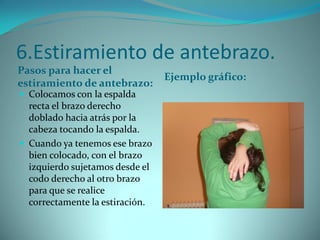 6.Estiramiento de antebrazo.
Pasos para hacer el
estiramiento de antebrazo:
Ejemplo gráfico:
 Colocamos con la espalda
recta el brazo derecho
doblado hacia atrás por la
cabeza tocando la espalda.
 Cuando ya tenemos ese brazo
bien colocado, con el brazo
izquierdo sujetamos desde el
codo derecho al otro brazo
para que se realice
correctamente la estiración.
 