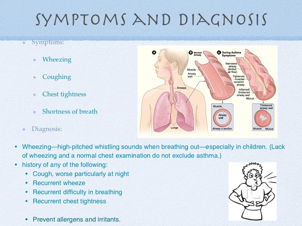 222 respitory system asthma