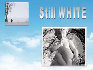 Still WHITE 
