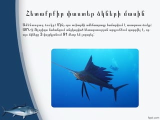 Հետաքրքիր փաստեր ձկների մասին
:Ամենաարագ ձուկը :Մինչ օրս աշխարհի ամենաարագը համարվում է առագաստ ձուկը
- ,ԱՄՆ ի Ֆլորիդա նահանգում անցկացված հետազոտության արդյունքում պարզվել է որ
3 91 :այս ձկները վայրկյանում մետր են լողացել
 