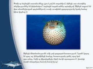 Քանի որ ձայնային տատանումները ջրում լավ են տարածվում, ձկների շատ տեսակներ
տեղեկություններ են փոխանակում՝ ձայնային ազդանշաններ արձակելով: Ձկներն ապրում են
վատ տեսանելիության պայմաններում, ուստի շոշափման զգացողությունը նրանց համար
խիստ կարևոր է:
Ձկների մեծամասնությունն ունի լավ զարգացած հոտառություն: Նրանք կարող
են զգալ այլ կենդանիների հոտերը, հոտառությամբ գտնել որսը կամ
զգուշանալ, քանի որ վիրավորվելիս ձկան մաշկն արտազատում է վտանգի
մասին ահազանգող հատուկ հոտով նյութ: 
 