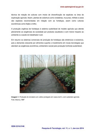 Sistema de cultivo na produção de hortaliças | PDF