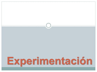 Experimentación
 