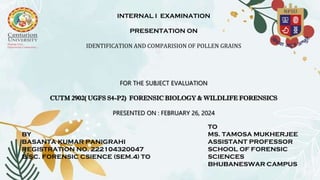INTERNAL I EXAMINATION
PRESENTATION ON
IDENTIFICATION AND COMPARISION OF POLLEN GRAINS
FOR THE SUBJECT EVALUATION
CUTM 2902( UGFS S4-P2) FORENSIC BIOLOGY & WILDLIFE FORENSICS
PRESENTED ON : FEBRUARY 26, 2024
BY
BASANTA KUMAR PANIGRAHI
REGISTRATION NO. 222104320047
B.SC. FORENSIC CSIENCE (SEM.4) TO
TO
MS. TAMOSA MUKHERJEE
ASSISTANT PROFESSOR
SCHOOL OF FORENSIC
SCIENCES
BHUBANESWAR CAMPUS
 