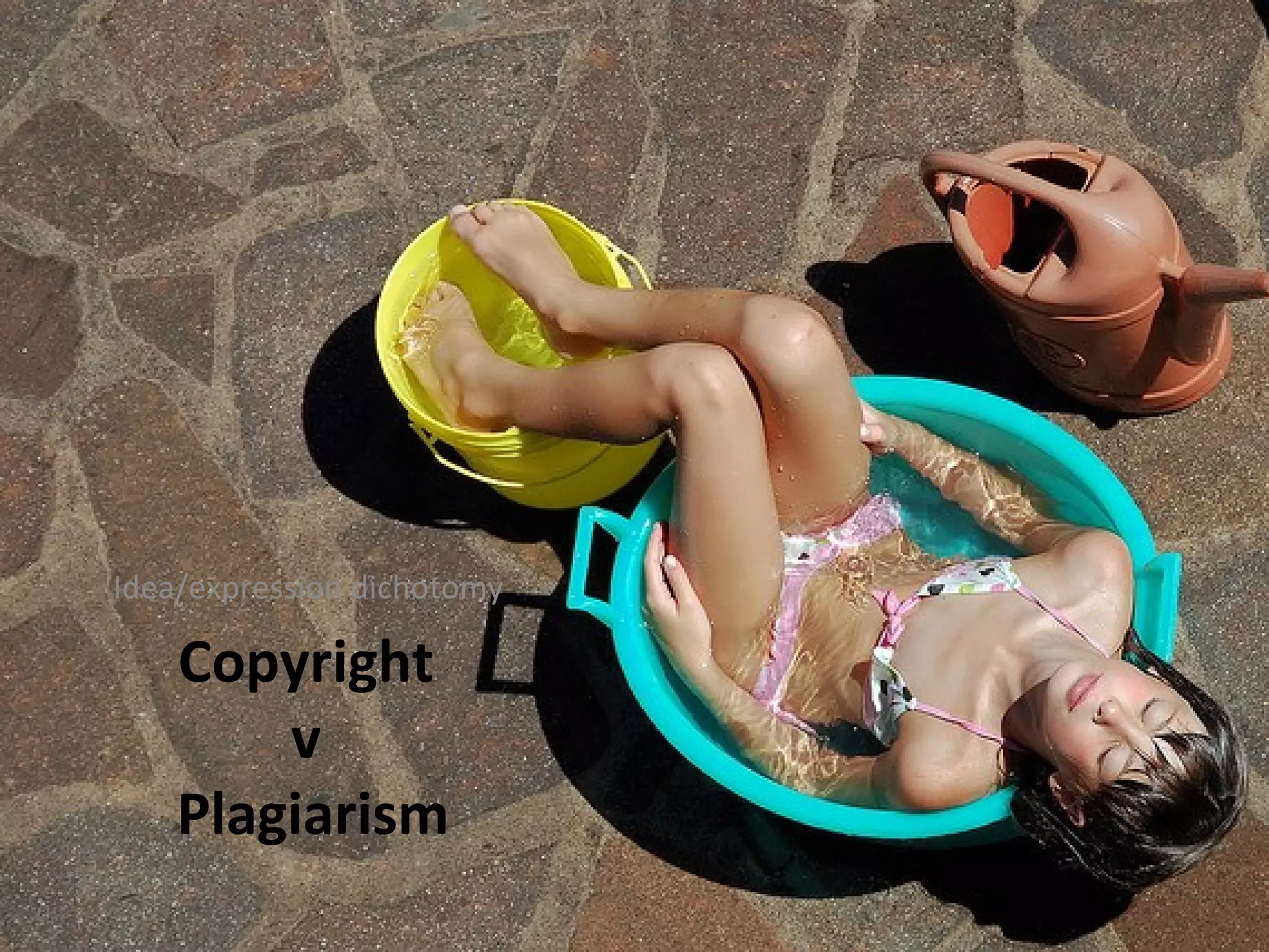 Idea/expression dichotomy 
Copyright 
v 
Plagiarism 
 