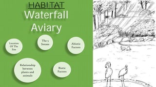 HABITAT
Waterfall
Aviary
The 5
Senses
Relationship
between
plants and
animals
Biotic
Factors
Abiotic
Factors
Location
Of The
Site
 