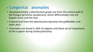 • Congenital anomalies
• Developmentally, a diverticulum grows out from the ventral wall of
the foregut (primitive duodenum), which differentiates into the
hepatic ducts and the liver.
• A lateral bud from this diverticulum becomes the gallbladder and
cystic duct.
• Anomalies are found in 10% of subjects and these are of importance
to the surgeon during cholecystectomy.
 