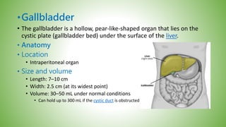 •Gallbladder
• The gallbladder is a hollow, pear-like-shaped organ that lies on the
cystic plate (gallbladder bed) under the surface of the liver.
• Anatomy
• Location
• Intraperitoneal organ
• Size and volume
• Length: 7–10 cm
• Width: 2.5 cm (at its widest point)
• Volume: 30–50 mL under normal conditions
• Can hold up to 300 mL if the cystic duct is obstructed
 
