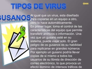 Al igual que un virus, esta diseñado
para copiarse en un equipo a otro,
pero lo hace automáticamente.
En primer lugar, toma el control de las
características del equipo que permite
transferir archivos o información. Una
vez que un gusano esté en su
sistema, puede viajar solo. El gran
peligro de os gusanos es su habilidad
para replicarse en grandes números
Por ejemplo un gusano podría llevar
copias de si mismo a todos los
usuarios de su libreta de dirección de
correo electrónico, lo que provoca un
efecto dominio de intensos tráficos de
 